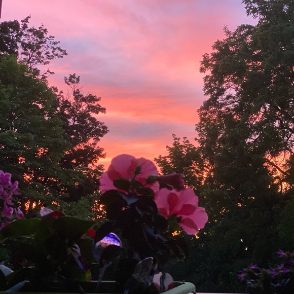 Meet your Posher, Zoama - Picture 1 of 1